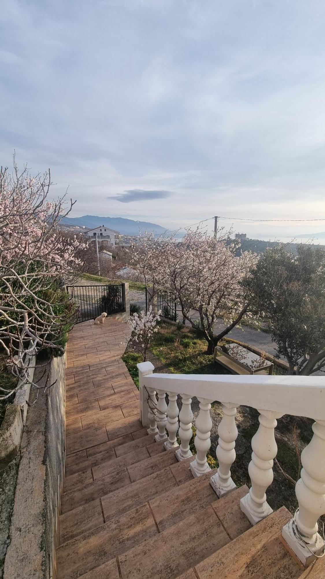 Apartman Pogled Na More Senj  Εξωτερικό φωτογραφία